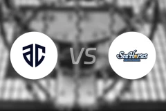 千叶阿尔提里vs三河海马比分预测【2025/11/15】