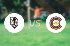 岩手盛冈仙鹤vs新宿创造比分预测【2025/11/16】