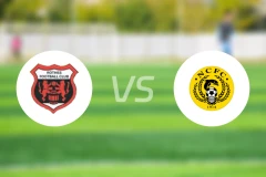 罗斯vs奈恩郡比分预测【2026/02/21】