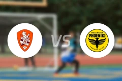 布里斯班狮吼女足vs惠灵顿凤凰女足比分预测【2026/01/03】