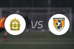 施萃娜vs比罗门萨斯比分预测【2025/11/17】