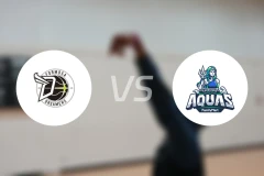 宝岛梦想家vs高雄海神比分预测【2026/02/01】