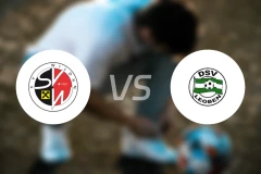 SV威尔登vsDSV莱奥本比分预测【2026/03/21】