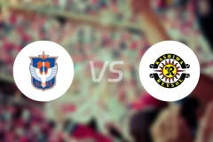 新潟天鹅vs柏太阳神比分预测【2025/11/30】