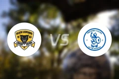 利奥帕德vs比勒陀利亚卡利比分预测【2024/09/28】
