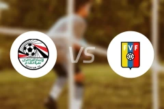 埃及U17vs委内瑞拉U17比分结果战报【2025/11/07】