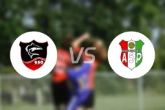 奥阿卡姆vs皮金比分预测【2026/02/23】