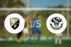 弗里塔尔vs巴迪莎比分预测【2025/10/31】