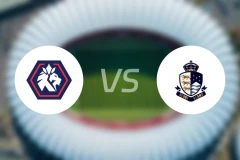 忠北清州vs首尔衣恋比分结果战报【2025/11/09】