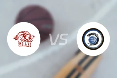 雄狮vsBBC北方比分预测【2025/12/27】