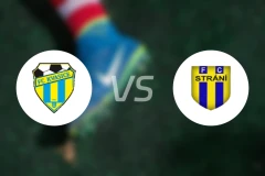 FC卡瓦西vsFC斯特拉尼比分预测【2024/08/21】