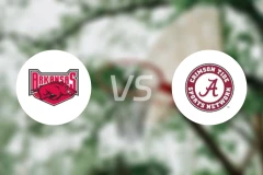 阿肯色大学vs阿拉巴马大学比分预测【2026/02/19】