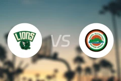 多恩比恩狮子vs瓦格兰姆鳄鱼比分预测【2025/11/16】