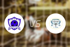 奥运之星vs弗兰博东比分预测【2026/01/18】