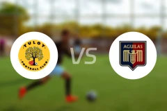 图洛伊vs达沃鹰比分预测【2026/03/08】