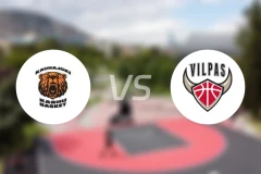 考哈约恩vs沙龙维尔帕斯比分预测【2025/12/21】