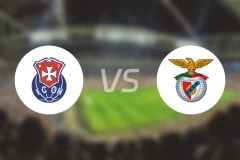 奥利维拉vs本菲卡卡斯特罗比分预测【2025/11/29】