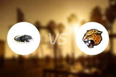 威斯康星大学麦迪逊分校女篮vs印第安那波利斯女篮比分预测【2025/12/30】