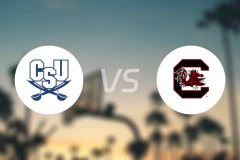 南查理斯顿大学vs南卡罗莱纳大学比分预测【2025/11/29】