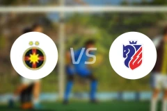 布加勒斯特星vs波图森尼比分预测【2026/02/06】