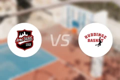 阿罗斯vs哈丁格比分预测【2025/12/13】