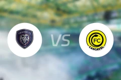 斯尔诺特vs卡斯卡韦尔比分预测【2026/01/19】