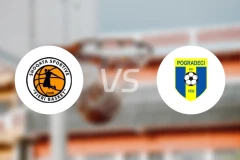 费里vs波格拉德茨比分预测【2026/01/31】