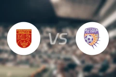 施蒂林马塞多尼亚vs珀斯光荣青年队比分预测【2024/08/20】