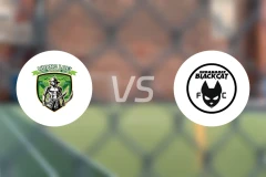 芒黎联合vs苏拉纳里黑猫比分预测【2025/11/01】