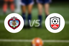 波姆巴达FCvsTMT比分预测【2026/02/13】