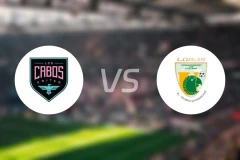 洛斯卡沃斯联vs鹦鹉大学比分预测【2026/01/25】