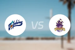 凯恩斯海豚女篮vs西南新城海盗女篮比分预测【2026/04/24】