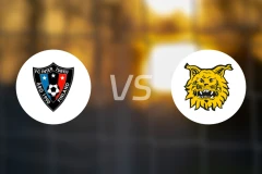 图尔库国际vs埃尔维斯比分结果战报【2025/11/09】