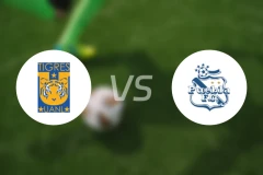 老虎大学女足vs普埃布拉女足比分预测【2026/02/14】