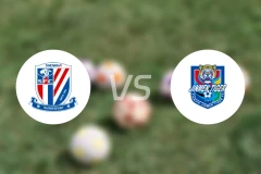 上海申花vs天津津门虎录像回放【2025/06/25】