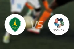 塞哈特海湾vs新未来城体育比分预测【2026/02/22】