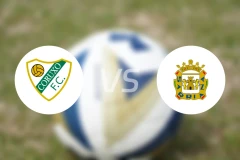 克鲁肖vs施萃娜比分预测【2026/02/22】