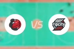 猛龙vs开拓者比分预测【2026/01/24】