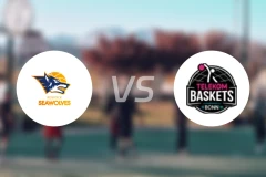 罗斯托克vs特力康比分预测【2026/02/01】