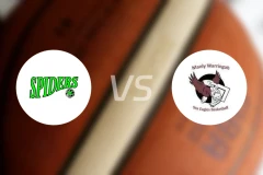 霍恩斯比蜘蛛女篮vs曼利海鹰女篮比分预测【2026/04/11】