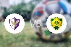 芬斯vs切里托比分预测【2026/04/13】