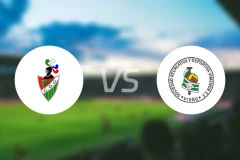 戈阿尼佐vs维米诺比分预测【2025/11/02】