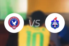 海湾联vs阿拉比比分预测【2026/01/24】