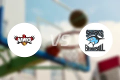 伊拉瓦拉鹰女篮vs萨瑟兰德鲨鱼女篮比分预测【2026/04/25】