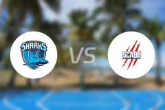 昂蒂布vs圣夏蒙比分预测【2026/01/24】