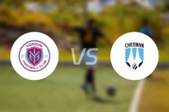 龙仁FCvs天安城比分结果战报【2026/03/01】