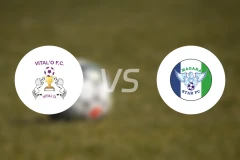 维塔罗vs穆津加比分预测【2026/02/14】