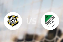 赫塔维斯巴赫vs奥尔斯马赫比分预测【2025/11/01】