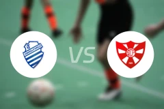 阿拉戈亚诺体育vsSC佩内登斯比分预测【2026/01/15】