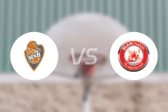 勒芒U21vs沙隆U21比分预测【2025/12/06】